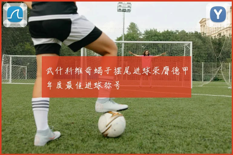 武什科维奇蝎子摆尾进球荣膺德甲年度最佳进球称号